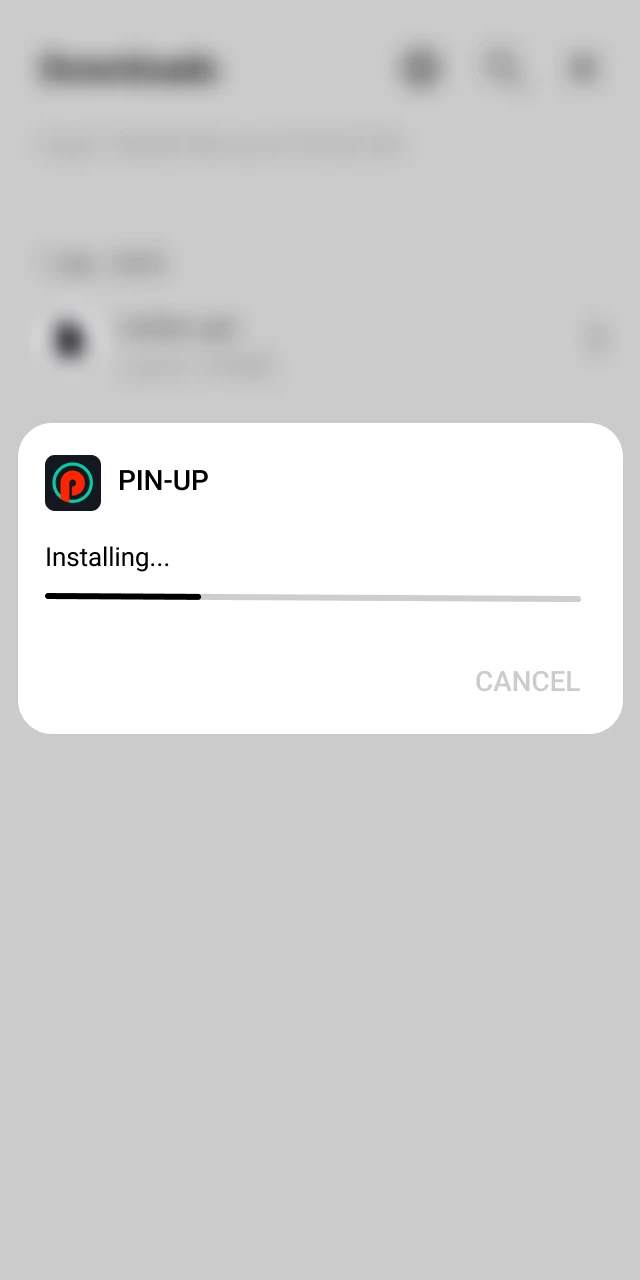 Allow unknown sources on your phone to install the Pin Up APK file.